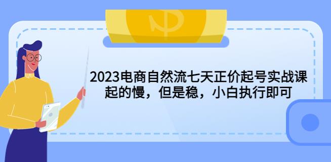 2023电商自然流七天正价起号实战课：起的慢，但是稳，小白执行即可！_海蓝资源库