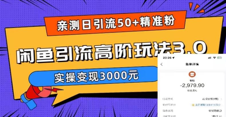 亲测日引50+精准粉，闲鱼引流高阶玩法3.0，实操变现3000元【揭秘】_海蓝资源库