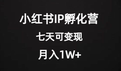 价值2000+的小红书IP孵化营项目，超级大蓝海，七天即可开始变现，稳定月入1W+_海蓝资源库