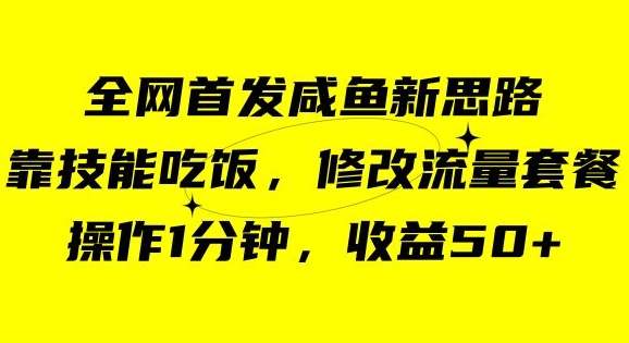 咸鱼冷门新玩法，靠“技能吃饭”，修改流量套餐，操作1分钟，收益50【揭秘】_海蓝资源库