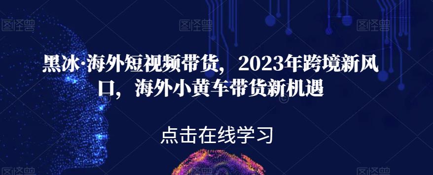 黑冰·海外短视频带货，2023年跨境新风口，海外小黄车带货新机遇_海蓝资源库