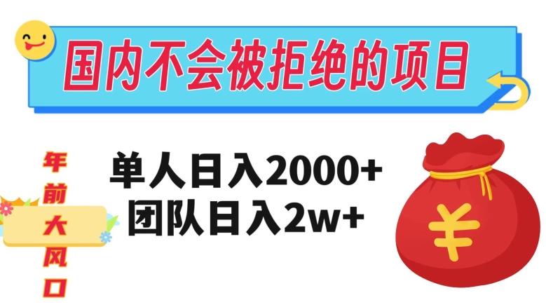 在国内不怕被拒绝的项目，单人日入2000，团队日入20000+【揭秘】_海蓝资源库