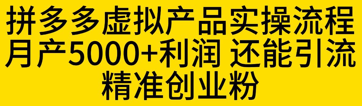 拼多多虚拟产品实操流程，月产5000+利润，还能引流精准创业粉【揭秘】_海蓝资源库