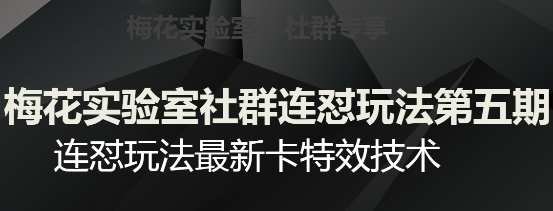 梅花实验室社群连怼玩法第五期，视频号连怼玩法最新卡特效技术_海蓝资源库