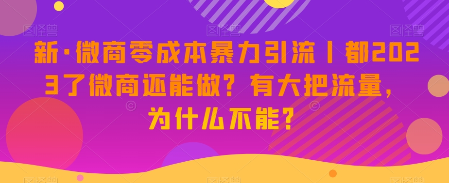 新·微商零成本暴力引流丨都2023了微商还能做？有大把流量，为什么不能？_海蓝资源库