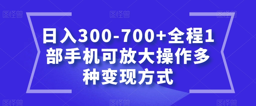 日入300-700+全程1部手机可放大操作多种变现方式【揭秘】_海蓝资源库