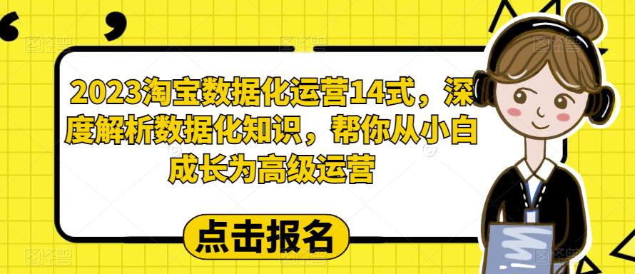 2023淘宝数据化运营14式，深度解析数据化知识，帮你从小白成长为高级运营_海蓝资源库