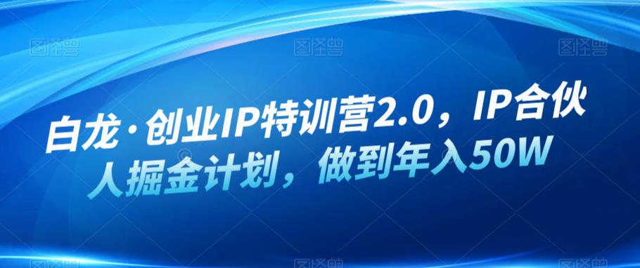 白龙·创业IP特训营2.0，IP合伙人掘金计划，做到年入50W_海蓝资源库