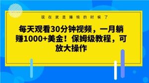 每天观看30分钟视频，一月躺赚1000+美金！保姆级教程，可放大操作【揭秘】_海蓝资源库