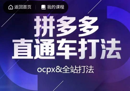 互力·拼多多直通车打法，ocpx&全站打法_海蓝资源库