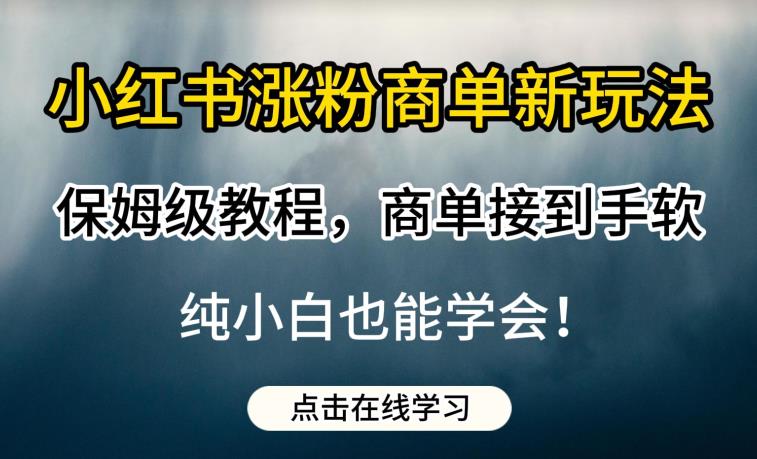 小红书涨粉商单新玩法，保姆级教程，商单接到手软，纯小白也能学会【揭秘】_海蓝资源库