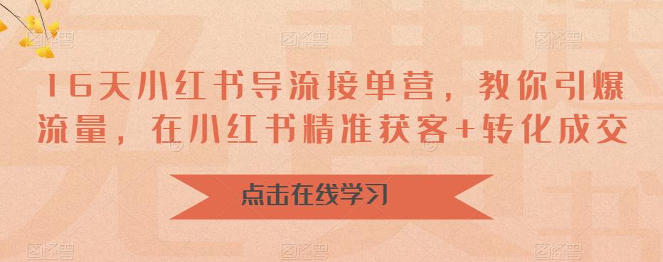 16天小红书导流接单营，教你引爆流量，在小红书精准获客+转化成交_海蓝资源库