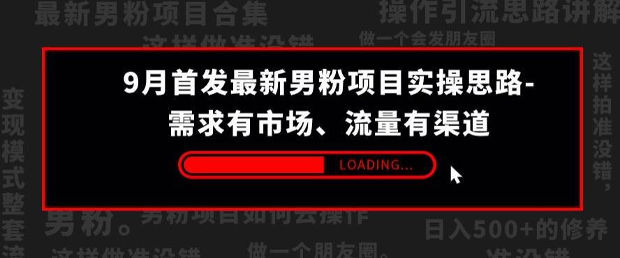 9月首发最新男粉项目实操思路-需求有市场，流量有渠道【揭秘】_海蓝资源库