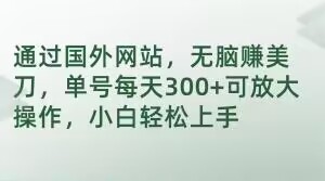 通过国外网站，无脑赚美刀，单号每天300+可放大操作，小白轻松上手【揭秘】_海蓝资源库