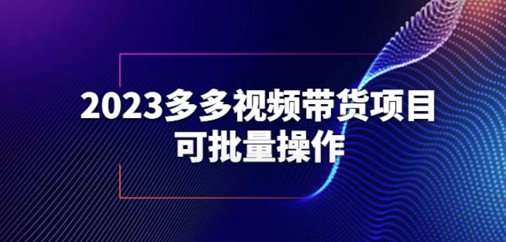 2023多多视频带货项目，可批量操作【保姆级教学】【揭秘】_海蓝资源库