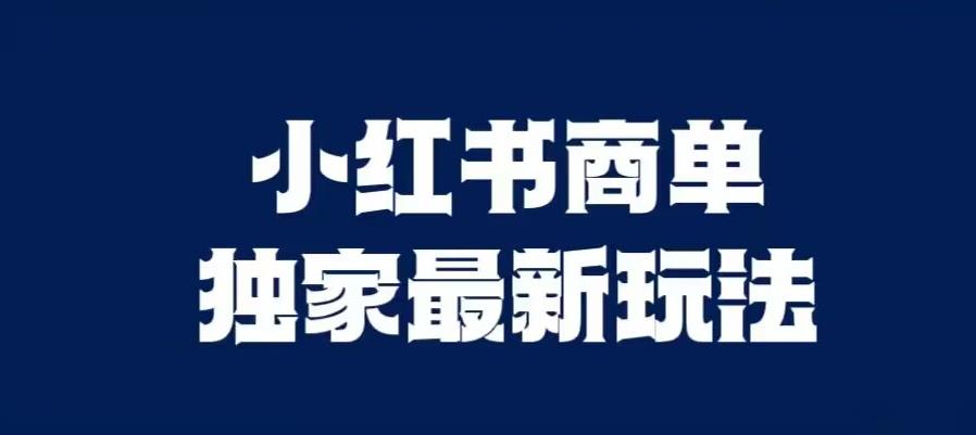 小红书商单最新独家玩法，剪辑时间短，剪辑难度低，能批量做号【揭秘】_海蓝资源库