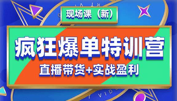 抖音短视频疯狂爆单特训营现场课（新）直播带货+实战案例_海蓝资源库