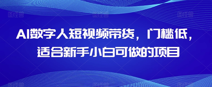 AI数字人短视频带货，门槛低，适合新手小白可做的项目_海蓝资源库