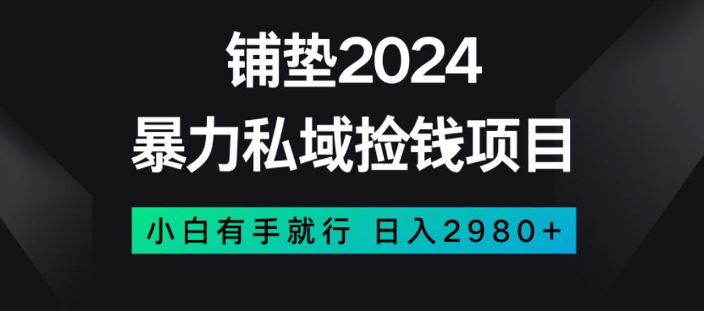 暴力私域捡钱项目，小白无脑操作，日入2980【揭秘】_海蓝资源库