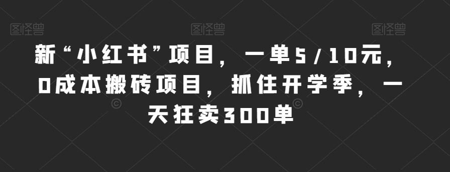 新“小红书”项目，一单5/10元，0成本搬砖项目，抓住开学季，一天狂卖300单【揭秘】_海蓝资源库