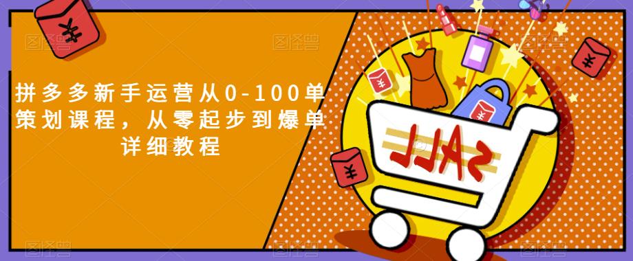 拼多多新手运营从0-100单策划课程，从零起步到爆单详细教程_海蓝资源库