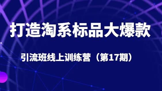 打造淘系标品大爆款引流班线上训练营（第17期）5天直播授课_海蓝资源库