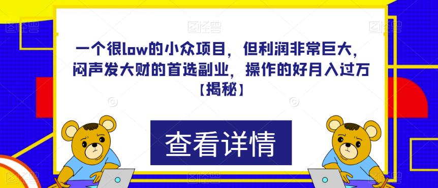 一个很low的小众项目，但利润非常巨大，闷声发大财的首选副业，操作的好月入过万【揭秘】_海蓝资源库