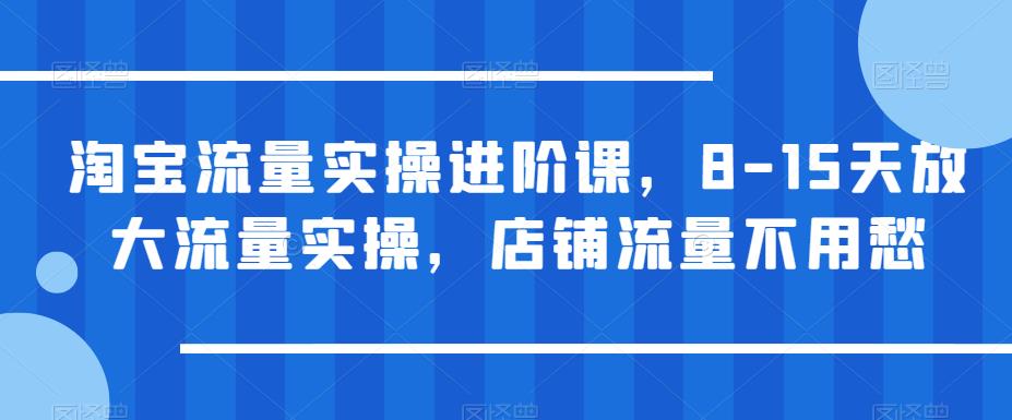 淘宝流量实操进阶课，8-15天放大流量实操，店铺流量不用愁_海蓝资源库