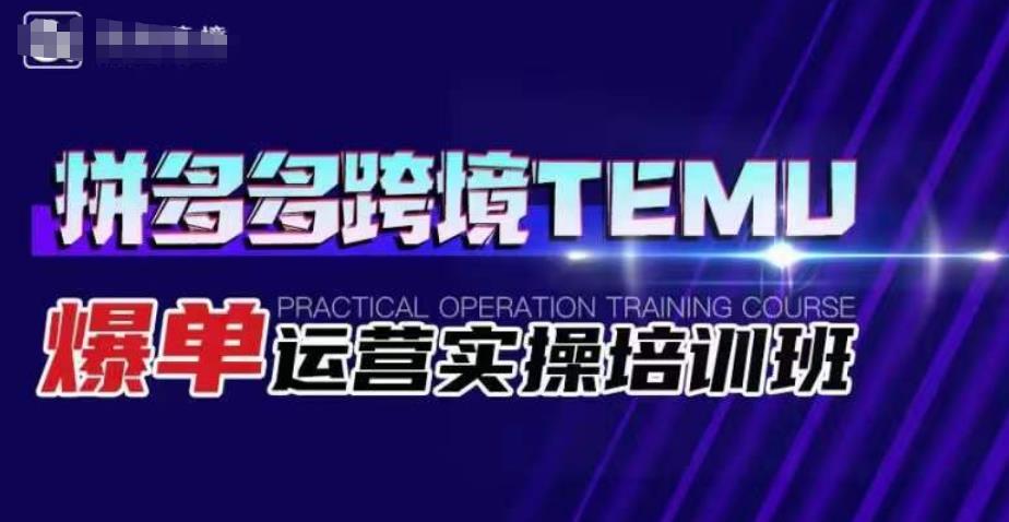 拼多多跨境TEMU爆单运营实操培训班，海外拼多多的选品、运营、爆单_海蓝资源库