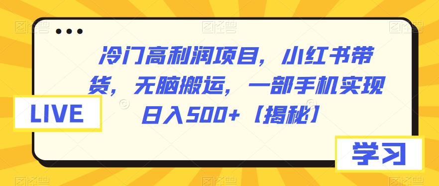 冷门高利润项目，小红书带货，无脑搬运，一部手机实现日入500+【揭秘】_海蓝资源库