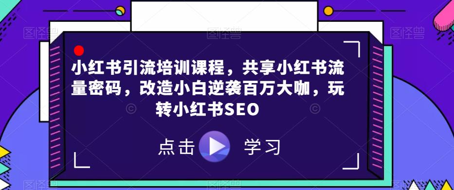 小红书引流培训课程，共享小红书流量密码，改造小白逆袭百万大咖，玩转小红书SEO_海蓝资源库