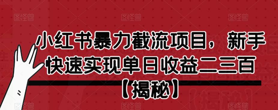 小红书暴力截流项目，新手快速实现单日收益二三百【仅揭秘】_海蓝资源库