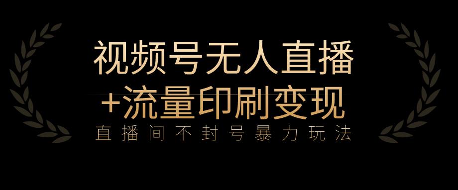 全网首发视频号不封号无人直播暴利玩法+流量印刷机变现，日入1000+【揭秘】_海蓝资源库