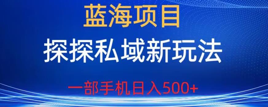 蓝海项目，探探私域新玩法，一部手机日入500+很轻松【揭秘】_海蓝资源库