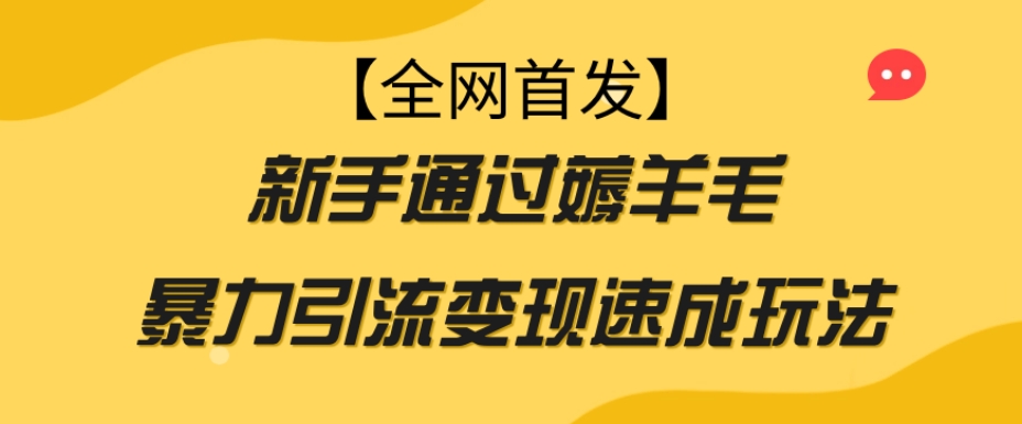 【全网首发】新手通过薅羊毛暴力引流变现速成玩法_海蓝资源库