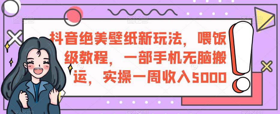 抖音绝美壁纸新玩法，喂饭级教程，一部手机无脑搬运，实操一周收入5000【揭秘】_海蓝资源库