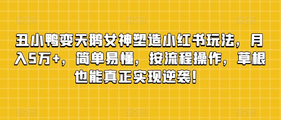 丑小鸭变天鹅女神塑造小红书玩法，月入5万+，简单易懂，按流程操作，草根也能真正实现逆袭！_海蓝资源库