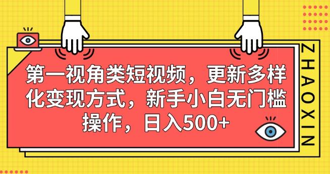 第一视角类短视频，更新多样化变现方式，新手小白无门槛操作，日入500+【揭秘】_海蓝资源库