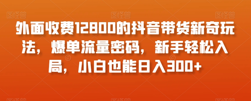 外面收费12800的抖音带货新奇玩法，爆单流量密码，新手轻松入局，小白也能日入300+【揭秘】_海蓝资源库