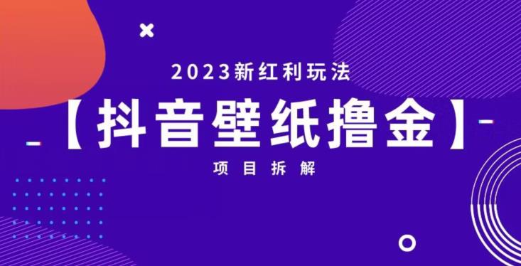 抖音壁纸小程序创作者撸金项目，2023新红利玩法【项目拆解】_海蓝资源库