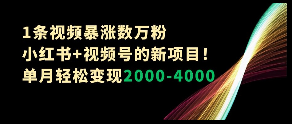 1条视频暴涨数万粉–小红书+视频号的新项目！单月轻松变现2000-4000【揭秘】_海蓝资源库