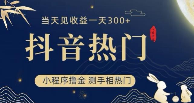 抖音最新小程序撸金，测手相上热门，当天见收益一小时变现300+【揭秘】_海蓝资源库