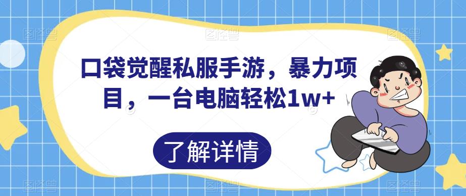 口袋觉醒私服手游，暴力项目，一台电脑轻松1w+【揭秘】_海蓝资源库