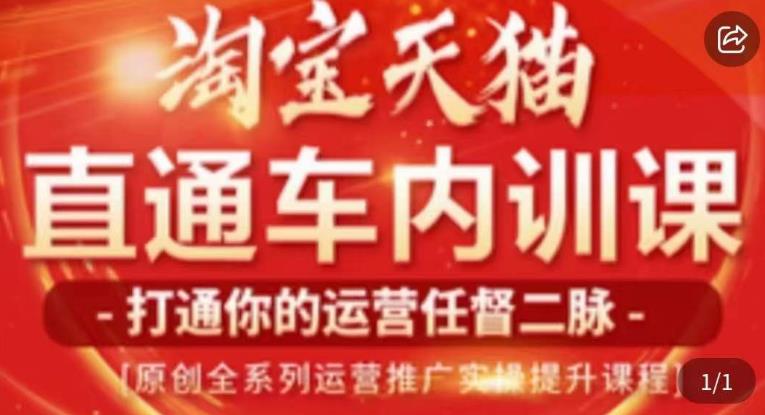 天问电商·2023淘宝天猫直通车内训课，零基础学起直通车运营实操课程_海蓝资源库