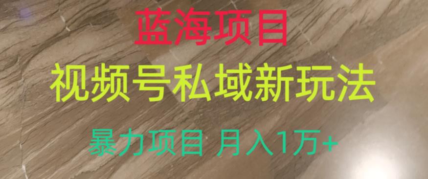 蓝海项目，视频号私域新玩法，暴力项目月入1万+【揭秘】_海蓝资源库