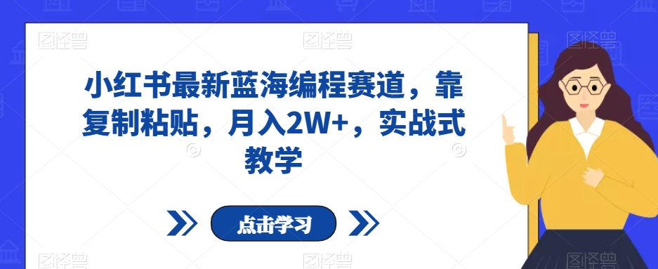 小红书最新蓝海编程赛道，靠复制粘贴，月入2W+，实战式教学【揭秘】_海蓝资源库