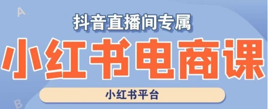 小红书电商高级运营课程，实操教学+案例分析_海蓝资源库