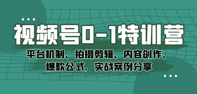 视频号0-1特训营：平台机制、拍摄剪辑、内容创作、爆款公式，实战案例分享_海蓝资源库