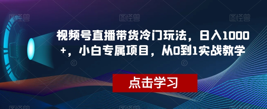 视频号直播带货冷门玩法，日入1000+，小白专属项目，从0到1实战教学【揭秘】_海蓝资源库