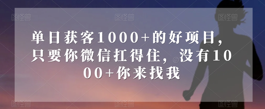 单日获客1000+的好项目，只要你微信扛得住，没有1000+你来找我【揭秘】_海蓝资源库